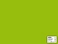 Carton color A4,170 g/mp, coala, verde fluorescent, Apli