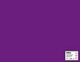 Carton color A4,170 g/mp, coala, violet, Apli