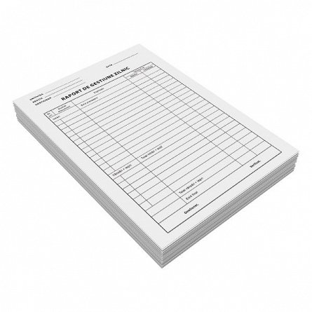 Raport gestiune zilnic A4, 100 file, F