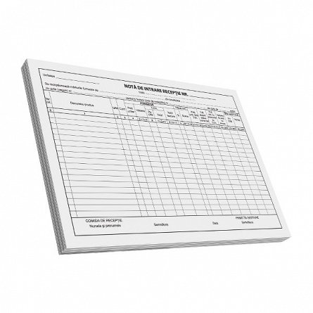 Nota de intrare-receptie A4, 100 file, F