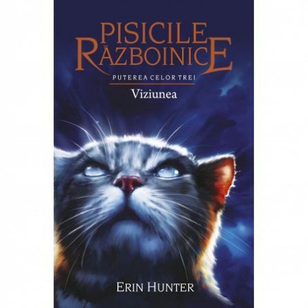 Viziunea. Puterea celor trei. Pisicile Razboinice, vol. 13