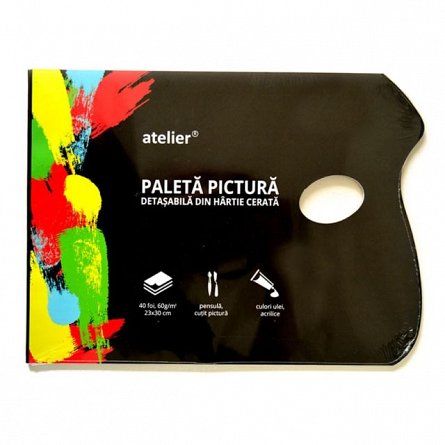 Paleta picturax24x30cm,40coli/set
