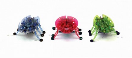 Robot Hexbug Beetle
