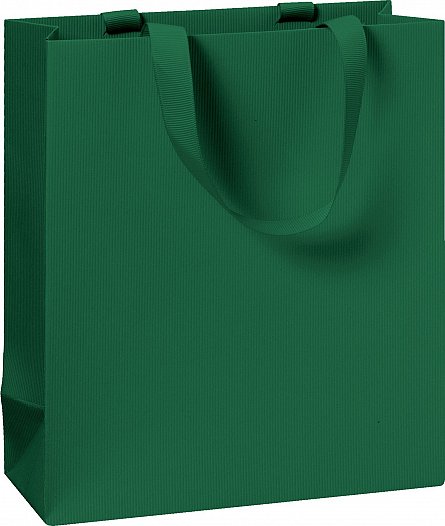 Punga cadou 25x13x33 cm, One Colour, verde inchis