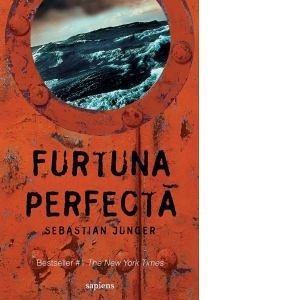 Furtuna perfecta