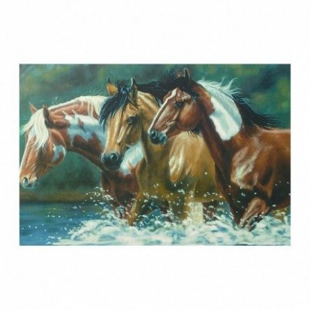 Pictura pe numere,Reeves,Horse Large