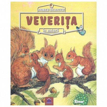 Animale salbatice in natura: Veverita