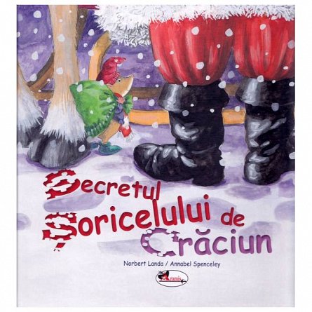 Secretul soricelului de Craciun