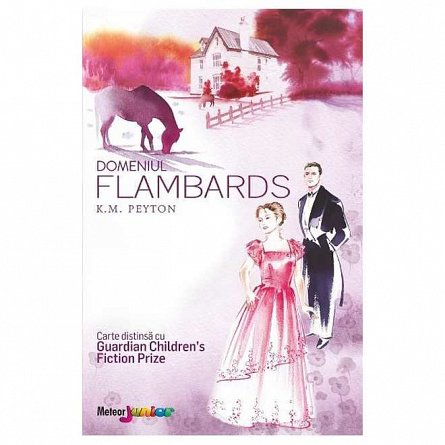 DOMENIUL FLAMBARDS