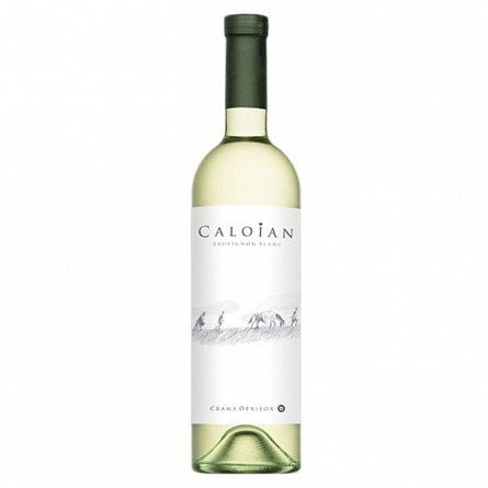Vin Caloian Sauvignon Blanc sec 0.75L