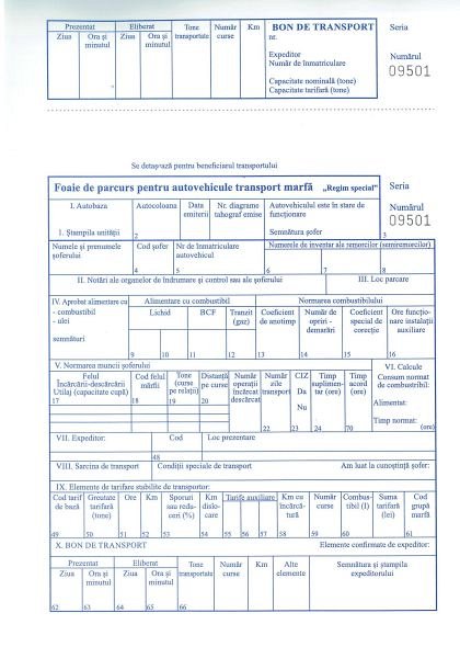 Foaie de parcurs marfa inseriata, A4, 100 file