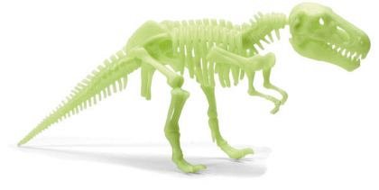Schelet T-Rex reflectorizant, Brainstorm, 6 ani+