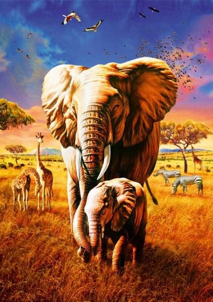 Puzzle Bluebird - Adrian Chesterman: Elephant, 1.000 piese (70314-P)
