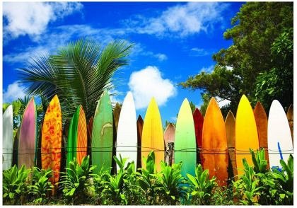 Puzzle Eurographics - Das Paradies fur Surfer - Hawaii, 1.000 piese (42180)