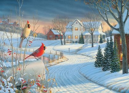 Puzzle Eurographics - Country Cardinals by Sam Timm, 1.000 piese (58572)