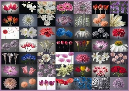Puzzle Schmidt - Salut floral, 2.000 piese (58297)