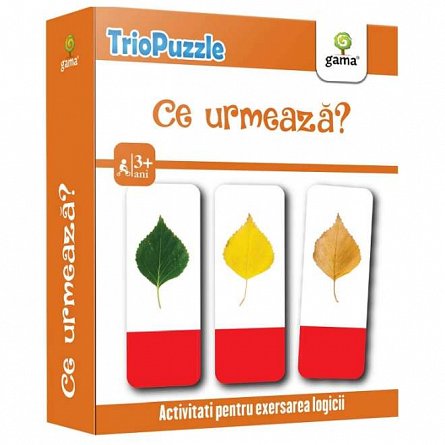 TrioPuzzle: Ce urmeaza? 3 ani plus