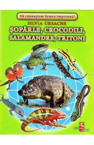 Soparle, crocodili, salamandre, tritoni. Cartonase