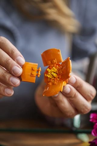 LEGO Creator Expert - Buchet de flori 10280