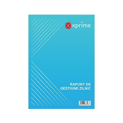 Raport de gestiune zilnic, A4, set 2 carnete, 100 file pe carnet