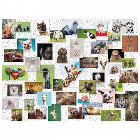 Puzzle Colaj cu animale, Ravensburger, 1500 piese