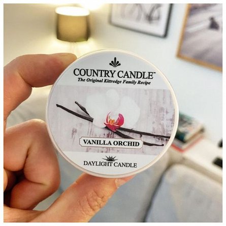 Lumanare parfumata Country Candle, 42 g, Vanilla Orchid