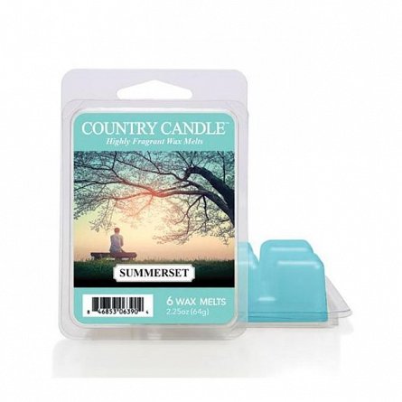 Lumanare parfumata Country Candle, 64 g, Summerset