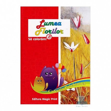 Lumea florilor, sa coloram!