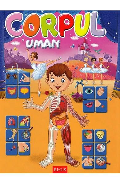 Corpul uman