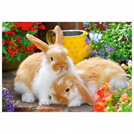 Puzzle Ravensburger - Porcusor de Guinea si iepuras, 2x12 piese