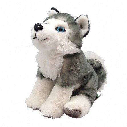 Plus Wild Republic - Catelus Husky, 20 cm