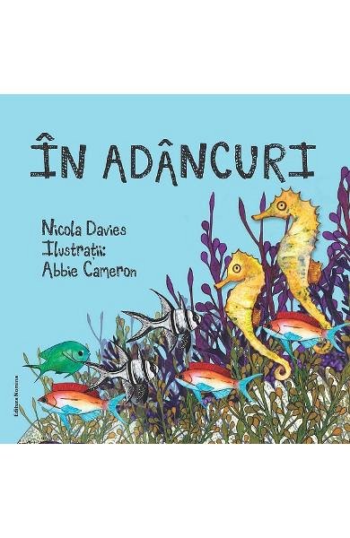 In adancuri
