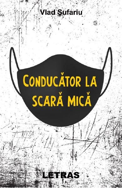 Conducator la scara mica