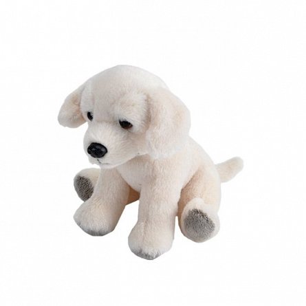 Plus Wild Republic - Catel Labrador Alb, 13 cm