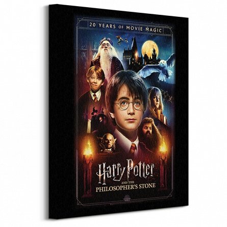 Canvas Harry Potter. 40X50 cm