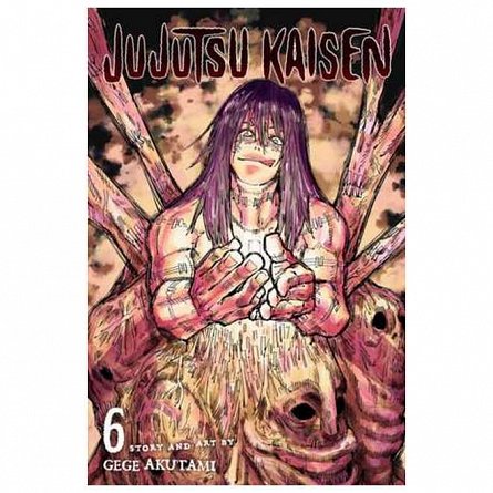 Jujutsu Kaisen. Vol. 06