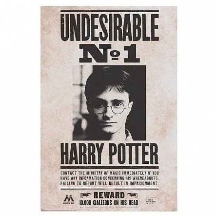 Poster Harry Potter, Undesirable ngrade1, 91.5 x 61 cm
