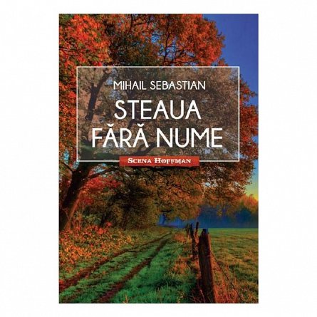 Steaua fara nume