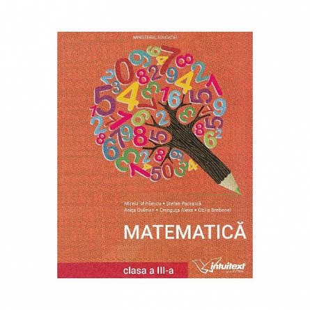 Matematica. Manual. Clasa 3