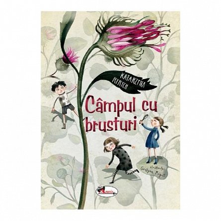 Campul cu brusturi