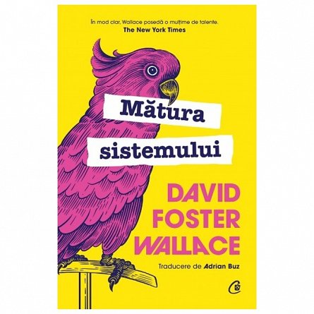 Matura sistemului