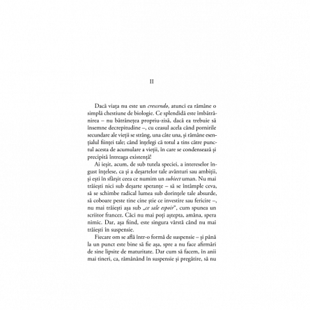 Un alt jurnal de idei