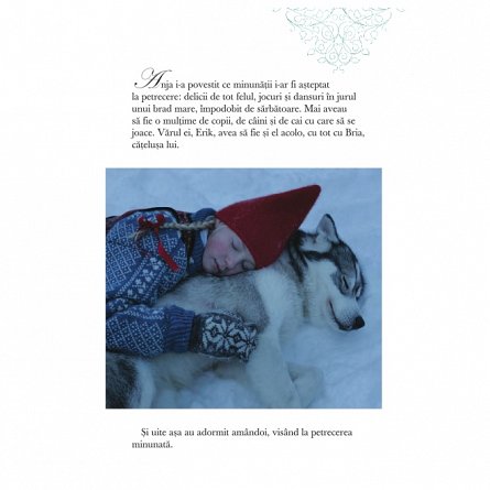 Dorinta ursuletului polar