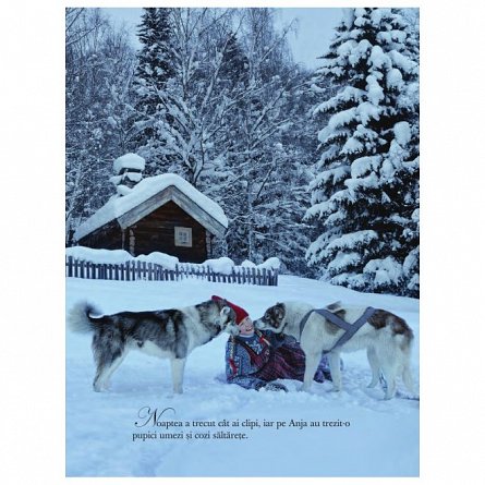 Dorinta ursuletului polar
