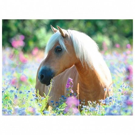Puzzle Calut pe camp de flori, 300 piese