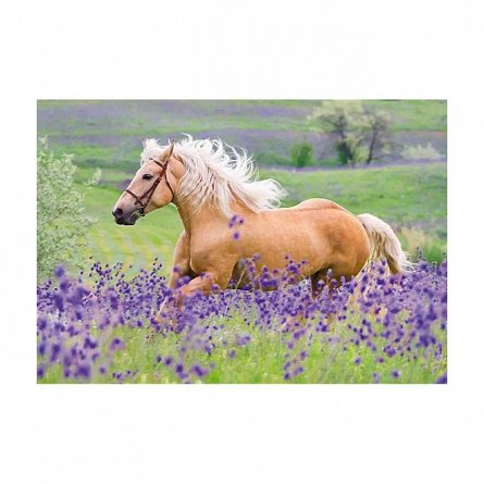 Puzzle Cai, 2X24 piese