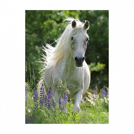 Puzzle Cal alb, 100 piese