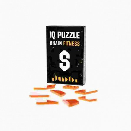 IQ Puzzle Dollar Sign