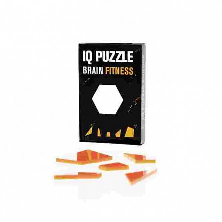 IQ Puzzle Hexagon