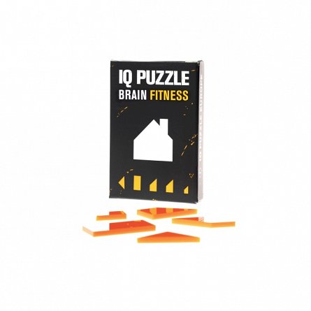 IQ Puzzle House